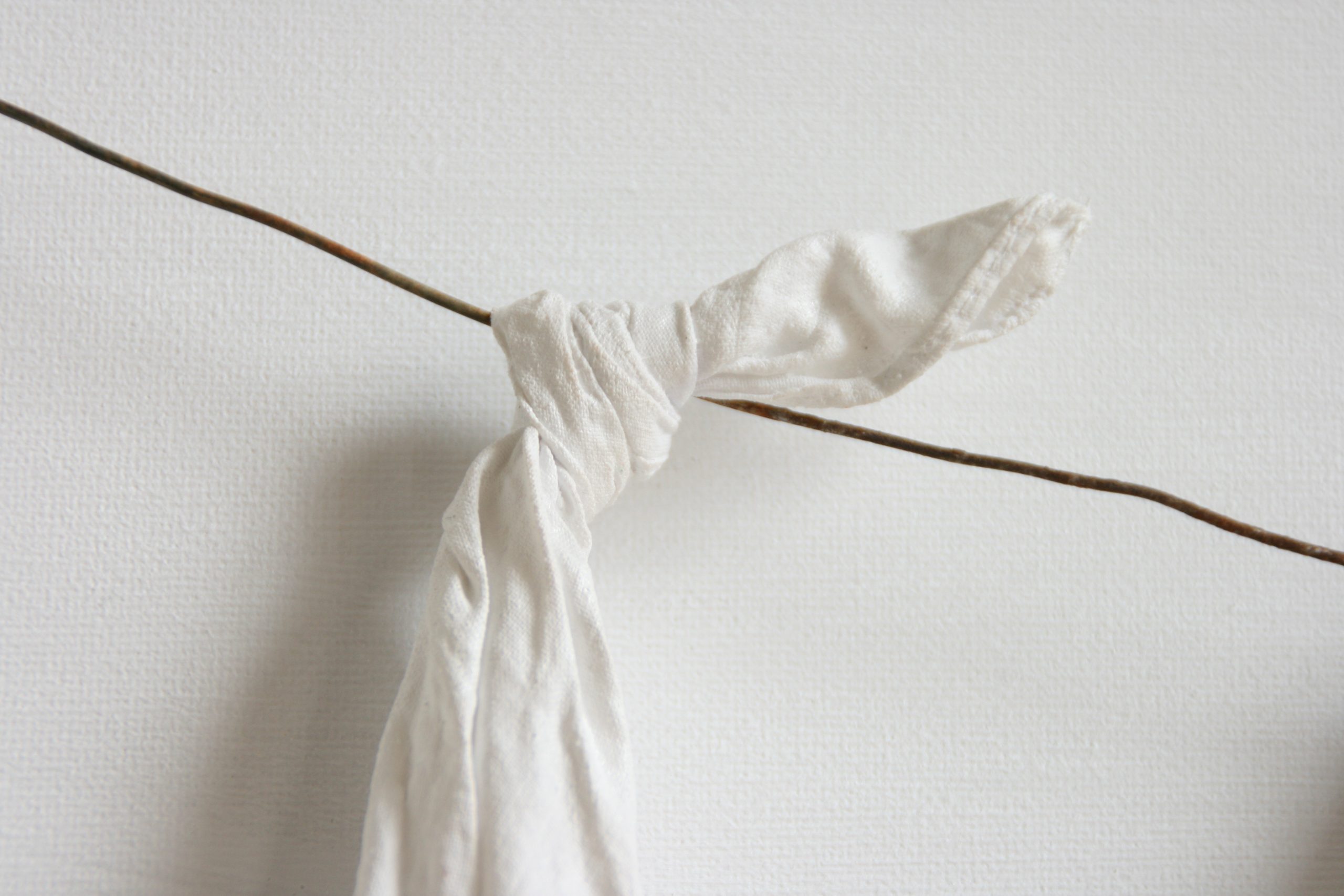Kunst waslijn zakdoeken